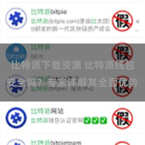 比特派下载资源 比特派钱包安全吗？专家详解其全面优势