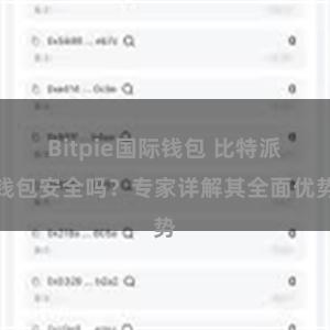 Bitpie国际钱包 比特派钱包安全吗？专家详解其全面优势