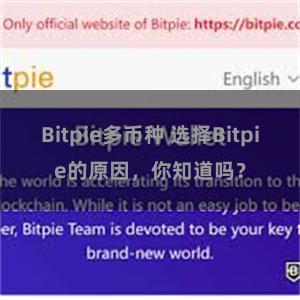 Bitpie多币种 选择Bitpie的原因，你知道吗？