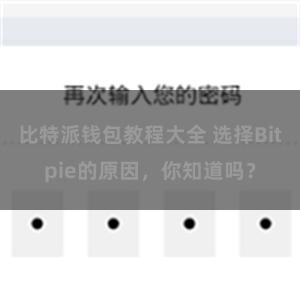 比特派钱包教程大全 选择Bitpie的原因，你知道吗？