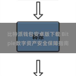 比特派钱包安卓版下载 Bitpie数字资产安全保障指南