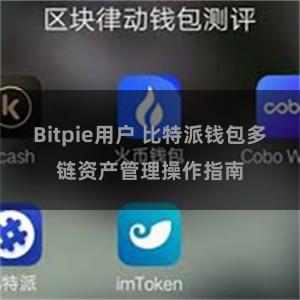 Bitpie用户 比特派钱包多链资产管理操作指南