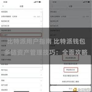 比特派用户指南 比特派钱包多链资产管理技巧：全面攻略