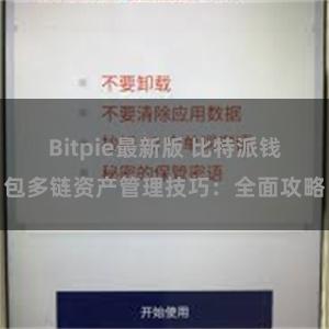 Bitpie最新版 比特派钱包多链资产管理技巧：全面攻略