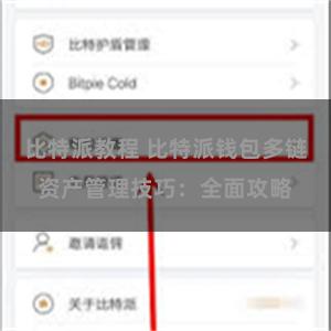 比特派教程 比特派钱包多链资产管理技巧：全面攻略