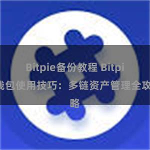 Bitpie备份教程 Bitpie钱包使用技巧：多链资产管理全攻略