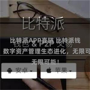 比特派APP直链 比特派钱包：数字资产管理生态进化，无限可能！