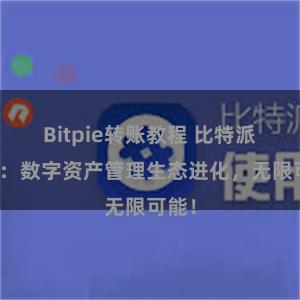 Bitpie转账教程 比特派钱包：数字资产管理生态进化，无限可能！