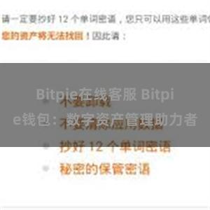 Bitpie在线客服 Bitpie钱包：数字资产管理助力者