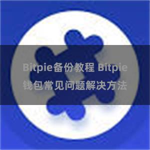 Bitpie备份教程 Bitpie钱包常见问题解决方法