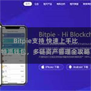 Bitpie支持 快速上手比特派钱包，多链资产管理全攻略