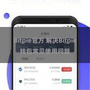 Bitpie官方 解决Bitpie钱包常见使用问题