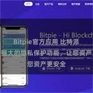 Bitpie官方应用 比特派钱包：强大的隐私保护功能，让您资产更安全