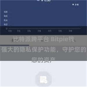 比特派跨平台 Bitpie钱包：强大的隐私保护功能，守护您的资产