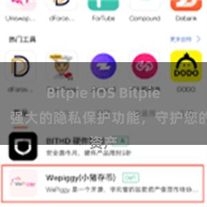 Bitpie iOS Bitpie钱包：强大的隐私保护功能，守护您的资产