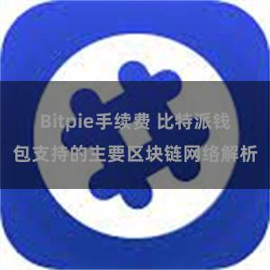 Bitpie手续费 比特派钱包支持的主要区块链网络解析