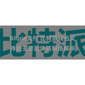 Bitpie支付 比特派钱包支持的主要区块链网络解析