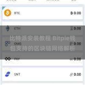 比特派安装教程 Bitpie钱包支持的区块链网络解析