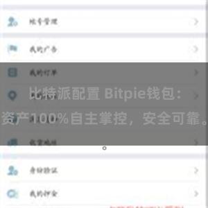 比特派配置 Bitpie钱包：资产100%自主掌控，安全可靠。