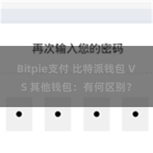 Bitpie支付 比特派钱包 VS 其他钱包：有何区别？