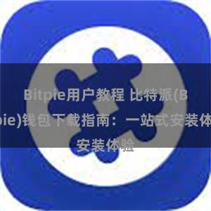 Bitpie用户教程 比特派(Bitpie)钱包下载指南：一站式安装体验