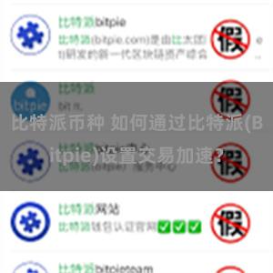 比特派币种 如何通过比特派(Bitpie)设置交易加速？