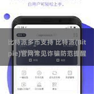 比特派多币支持 比特派(Bitpie)官网常见诈骗防范提醒