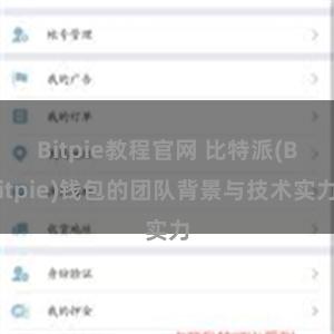 Bitpie教程官网 比特派(Bitpie)钱包的团队背景与技术实力