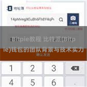 Bitpie教程 比特派(Bitpie)钱包的团队背景与技术实力