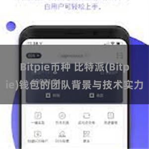 Bitpie币种 比特派(Bitpie)钱包的团队背景与技术实力