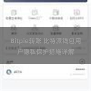 Bitpie转账 比特派钱包用户隐私保护措施详解