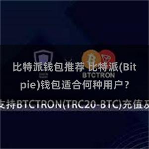 比特派钱包推荐 比特派(Bitpie)钱包适合何种用户？