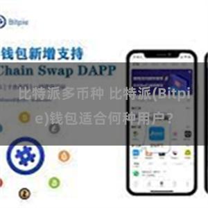 比特派多币种 比特派(Bitpie)钱包适合何种用户？