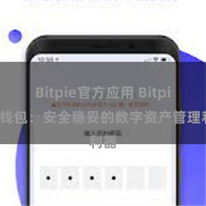 Bitpie官方应用 Bitpie热钱包：安全稳妥的数字资产管理利器