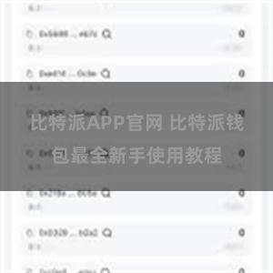 比特派APP官网 比特派钱包最全新手使用教程