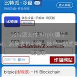 比特派支付 Bitpie国际钱包：跨境支付利器，账户一站式管理
