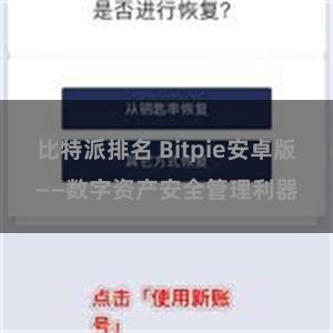 比特派排名 Bitpie安卓版——数字资产安全管理利器