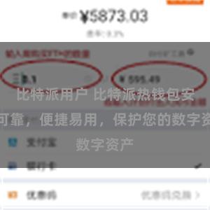 比特派用户 比特派热钱包安全可靠，便捷易用，保护您的数字资产