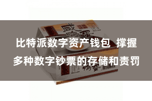 比特派数字资产钱包 撑握多种数字钞票的存储和责罚