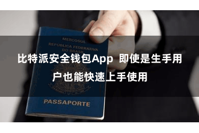 比特派安全钱包App 即使是生手用户也能快速上手使用