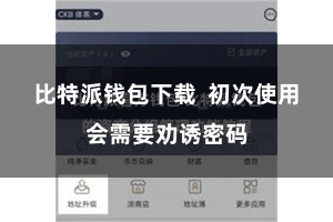 比特派钱包下载  初次使用会需要劝诱密码